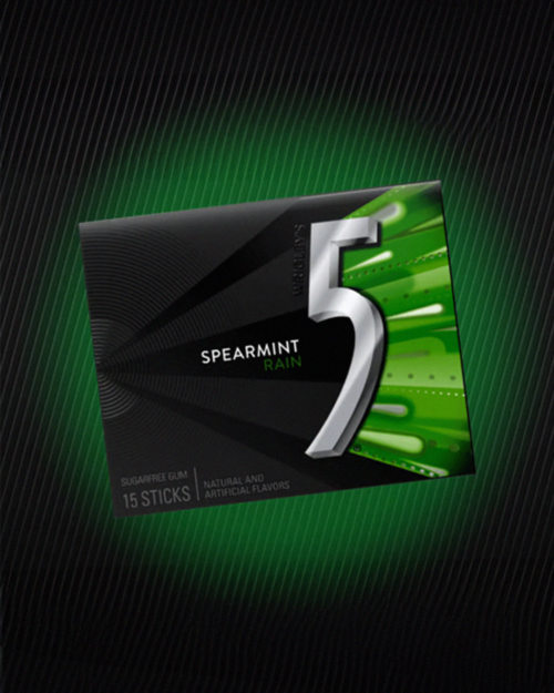 5 Gum Spearmint Rain Sugarfree Chewing Gum - 15-Stick Pack